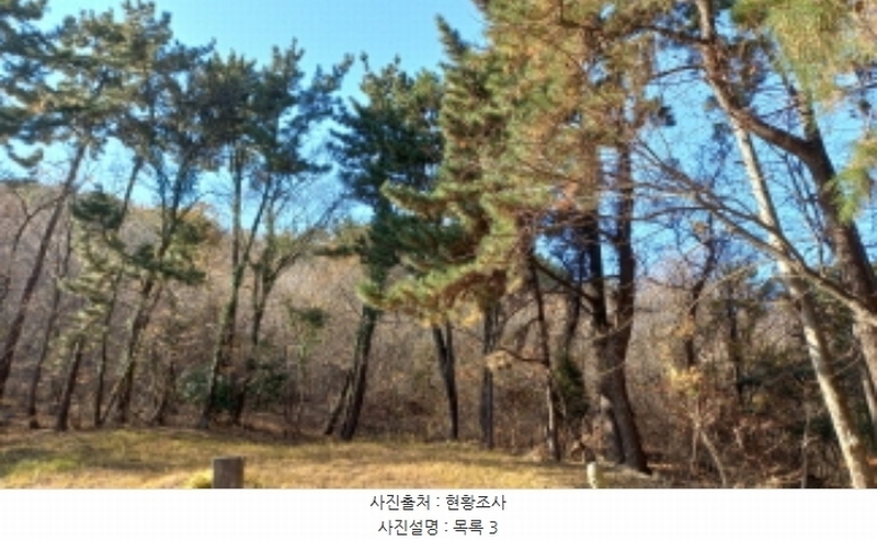 2024타경32404 경상남도 거제시 장평동 산53-4 임야 경매 이미지