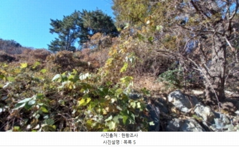 2024타경32404 경상남도 거제시 장평동 산53-4 임야 경매 이미지