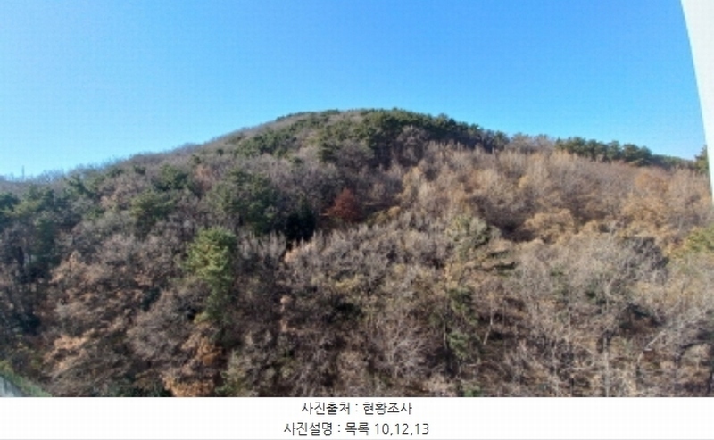 2024타경32404 경상남도 거제시 장평동 산53-4 임야 경매 이미지