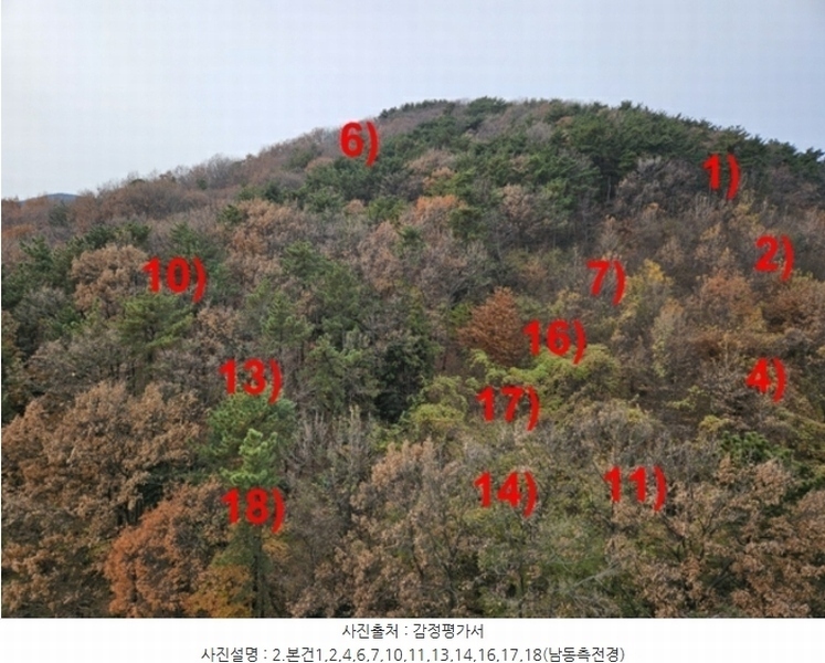 2024타경32404 경상남도 거제시 장평동 산53-4 임야 경매 이미지