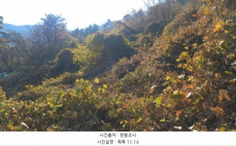 2024타경32404 경상남도 거제시 장평동 산53-4 임야 경매 이미지