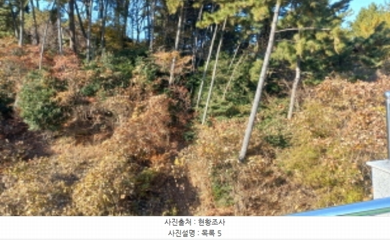 2024타경32404 경상남도 거제시 장평동 산53-4 임야 경매 이미지