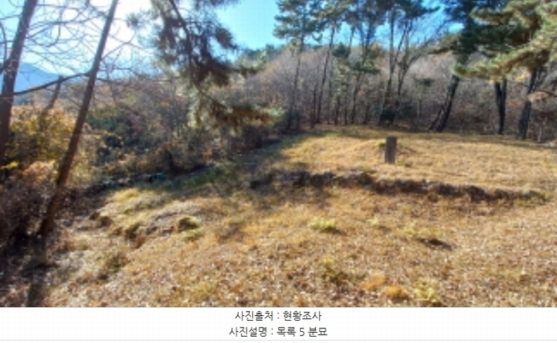 2024타경32404 경상남도 거제시 장평동 산53-4 임야 경매 이미지