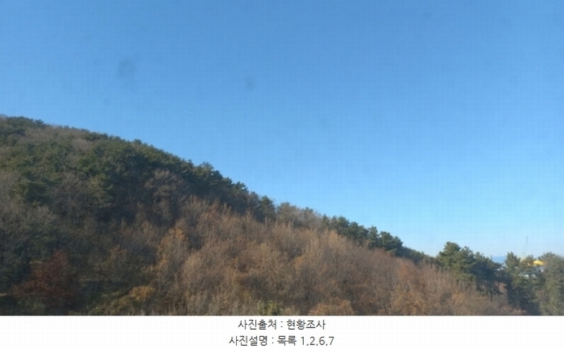 2024타경32404 경상남도 거제시 장평동 산53-4 임야 경매 이미지