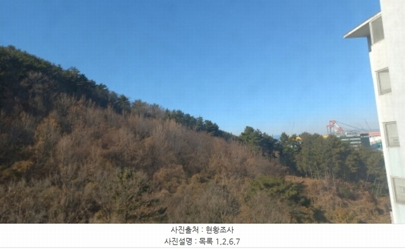 2024타경32404 경상남도 거제시 장평동 산53-4 임야 경매 이미지