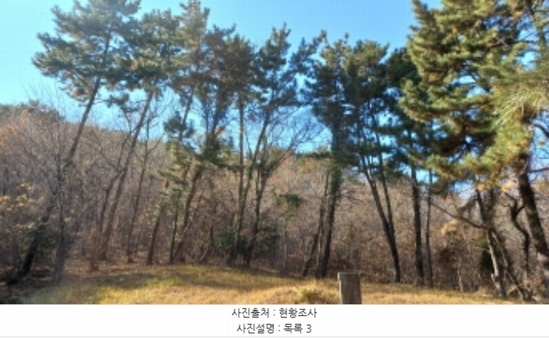 2024타경32404 경상남도 거제시 장평동 산53-4 임야 경매 이미지