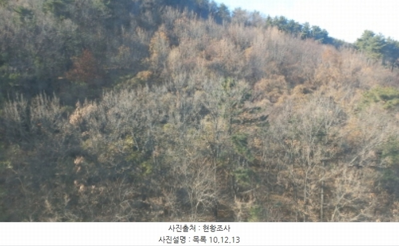 2024타경32404 경상남도 거제시 장평동 산53-4 임야 경매 이미지