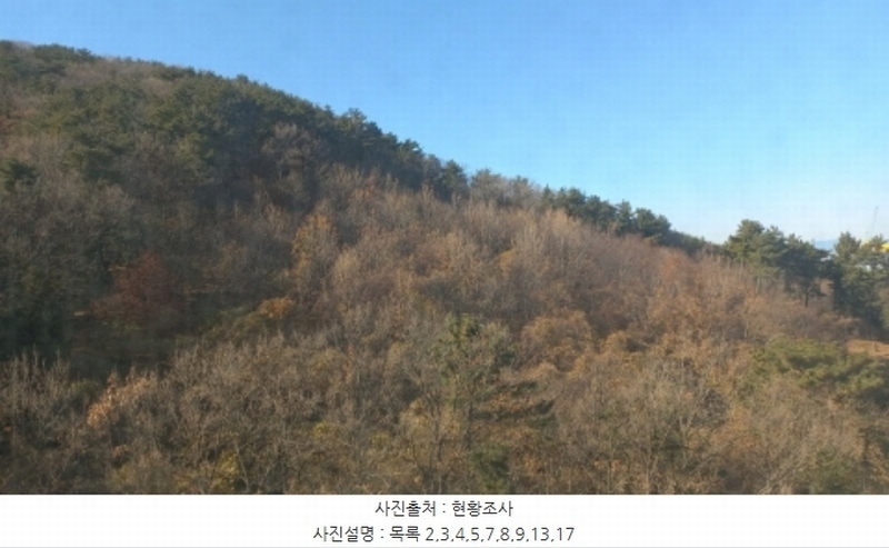 2024타경32404 경상남도 거제시 장평동 산53-4 임야 경매 이미지