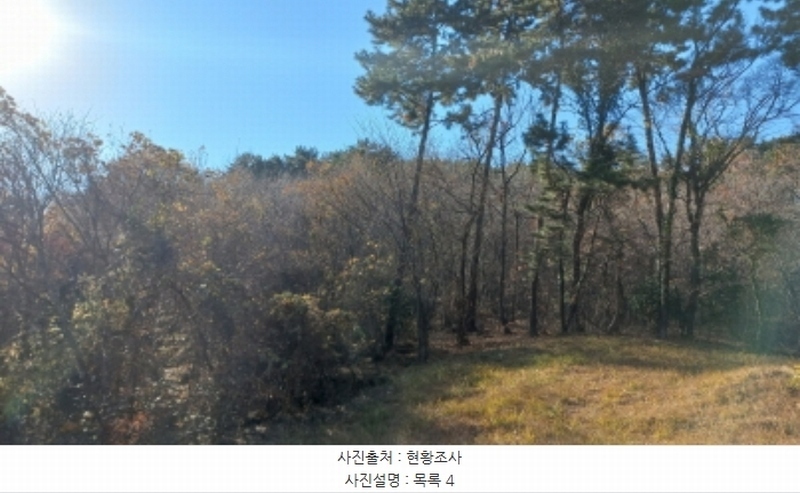 2024타경32404 경상남도 거제시 장평동 산53-4 임야 경매 이미지