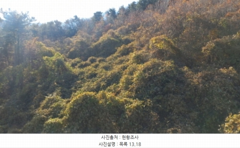 2024타경32404 경상남도 거제시 장평동 산53-4 임야 경매 이미지