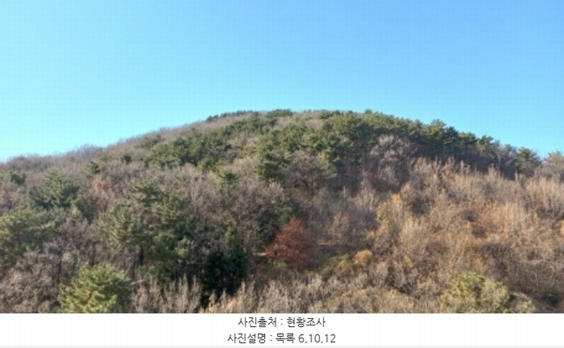 2024타경32404 경상남도 거제시 장평동 산53-4 임야 경매 이미지