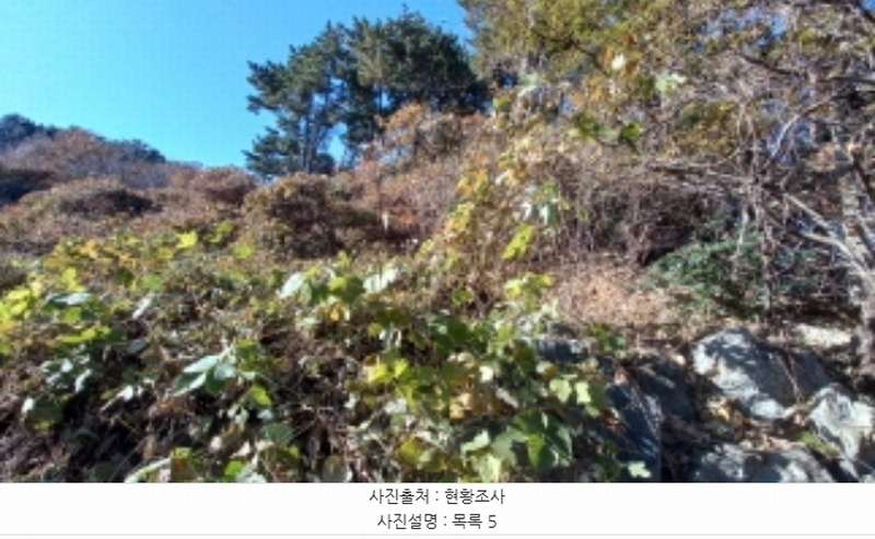 2024타경32404 경상남도 거제시 장평동 산53-4 임야 경매 이미지