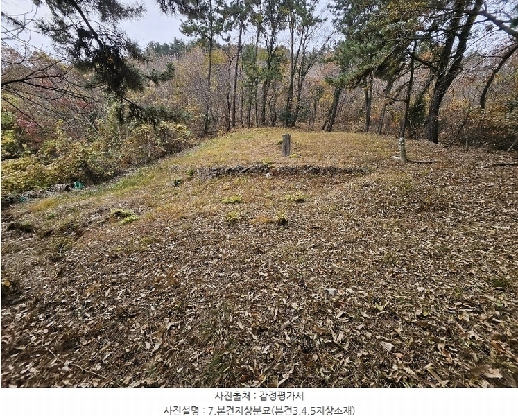 2024타경32404 경상남도 거제시 장평동 산53-4 임야 경매 이미지