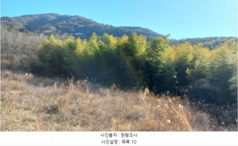 2024타경32565 경상남도 거제시 하청면 석포리 산15-8 임야 경매 이미지