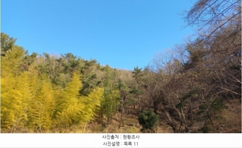 2024타경32565 경상남도 거제시 하청면 석포리 산15-8 임야 경매 이미지