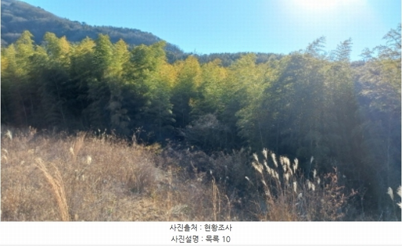 2024타경32565 경상남도 거제시 하청면 석포리 산15-8 임야 경매 이미지