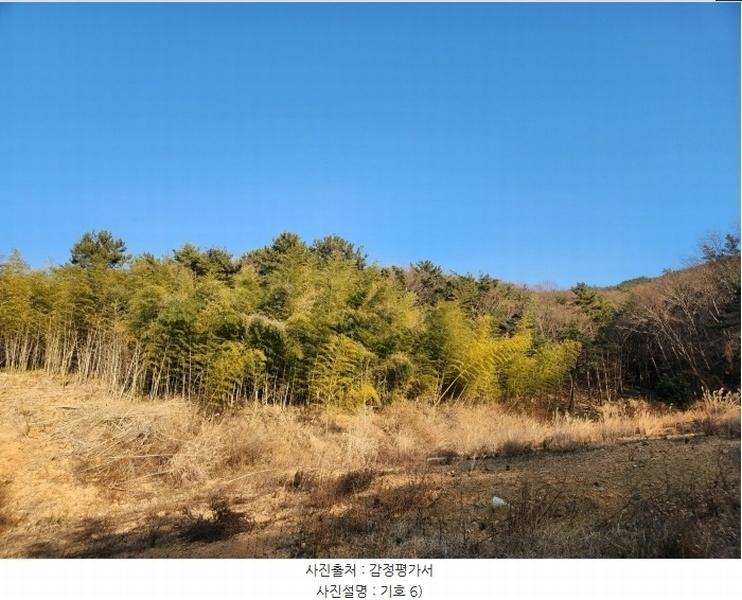 2024타경32565 경상남도 거제시 하청면 석포리 산15-8 임야 경매 이미지