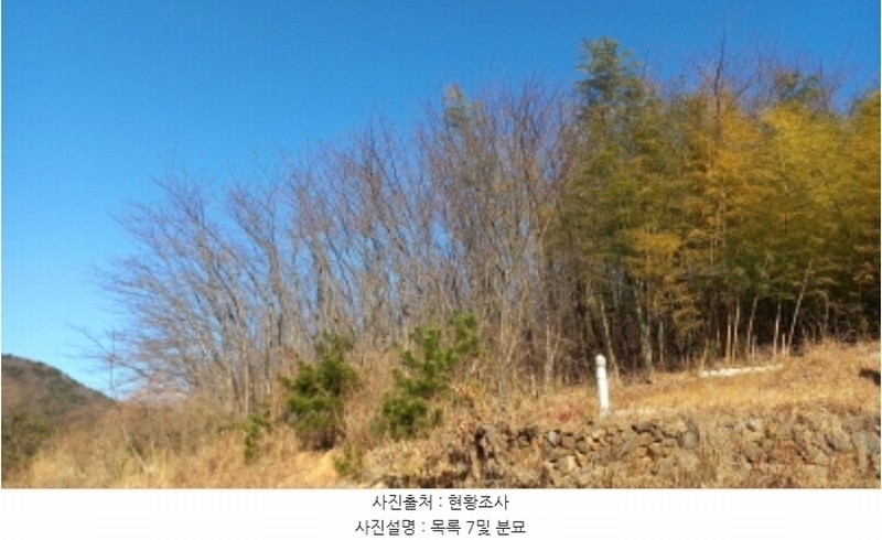 2024타경32565 경상남도 거제시 하청면 석포리 산15-8 임야 경매 이미지