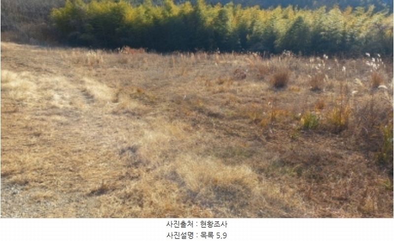 2024타경32565 경상남도 거제시 하청면 석포리 산15-8 임야 경매 이미지