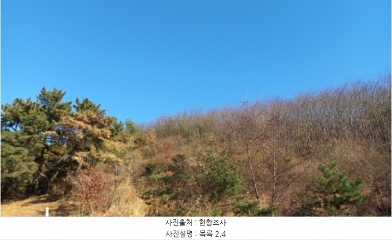 2024타경32565 경상남도 거제시 하청면 석포리 산15-8 임야 경매 이미지
