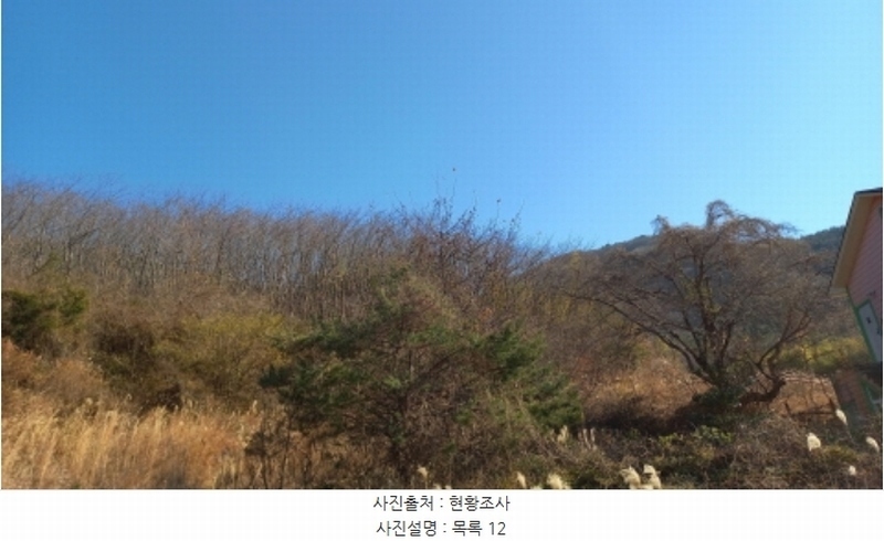 2024타경32565 경상남도 거제시 하청면 석포리 산15-8 임야 경매 이미지