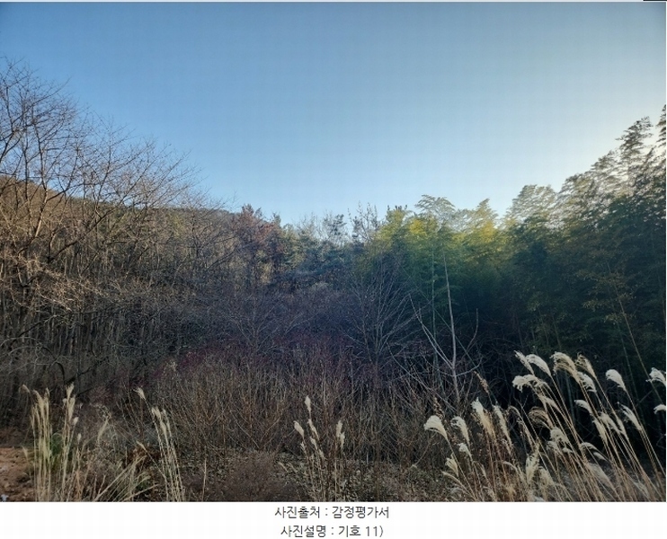 2024타경32565 경상남도 거제시 하청면 석포리 산15-8 임야 경매 이미지