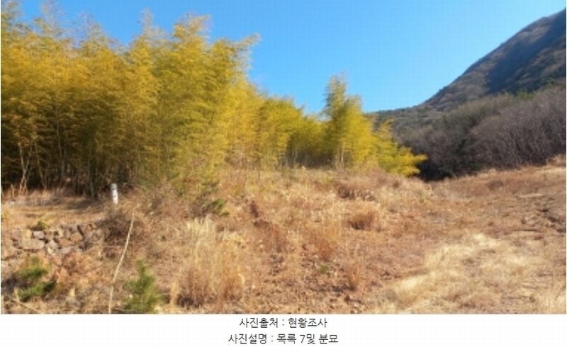 2024타경32565 경상남도 거제시 하청면 석포리 산15-8 임야 경매 이미지