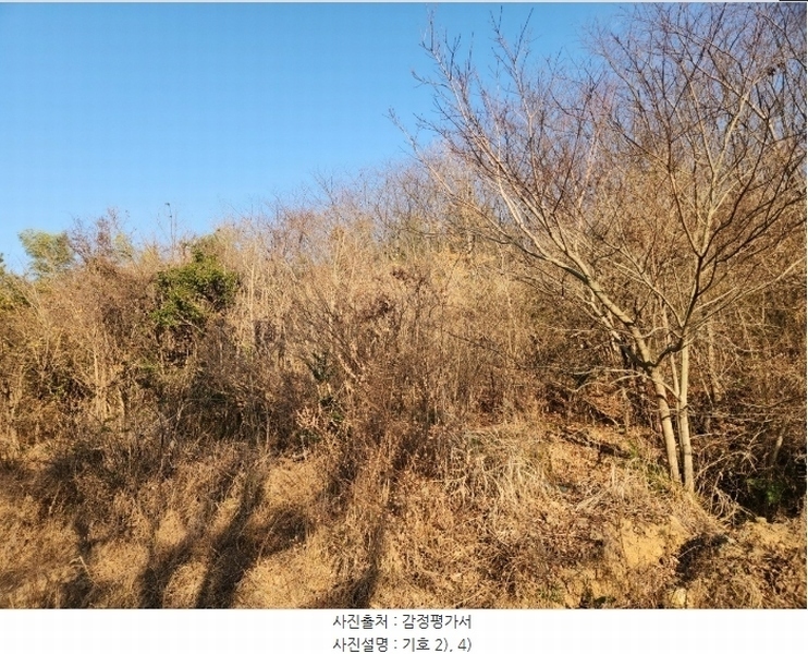 2024타경32565 경상남도 거제시 하청면 석포리 산15-8 임야 경매 이미지