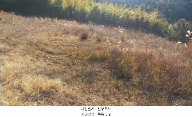 2024타경32565 경상남도 거제시 하청면 석포리 산15-8 임야 경매 이미지