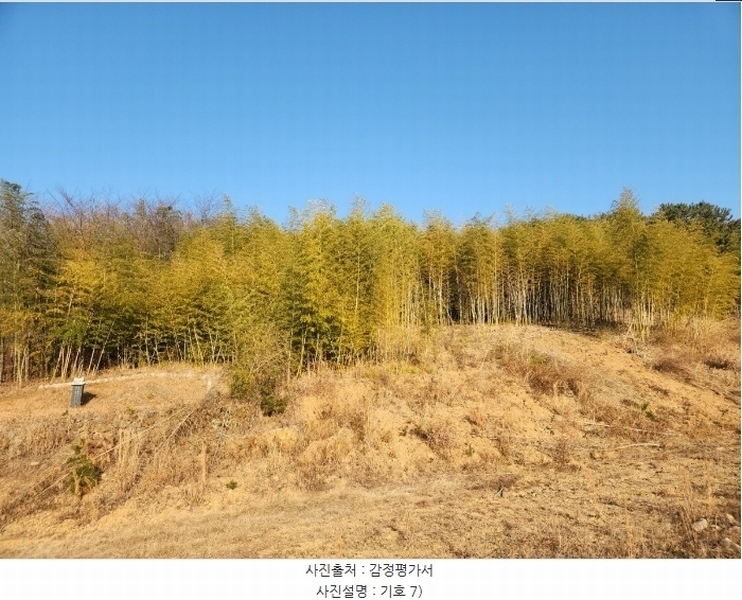 2024타경32565 경상남도 거제시 하청면 석포리 산15-8 임야 경매 이미지