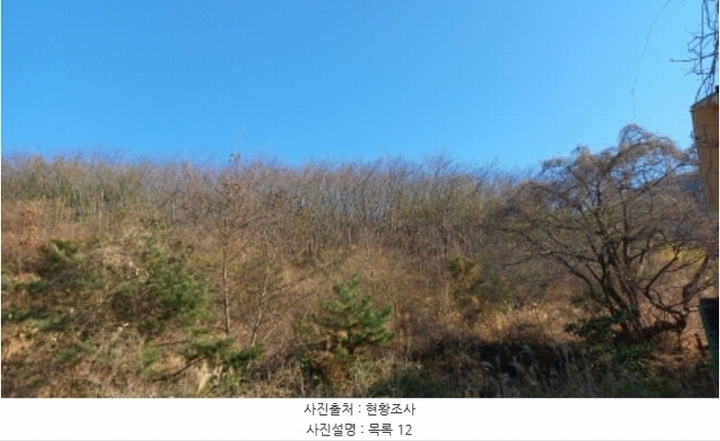 2024타경32565 경상남도 거제시 하청면 석포리 산15-8 임야 경매 이미지