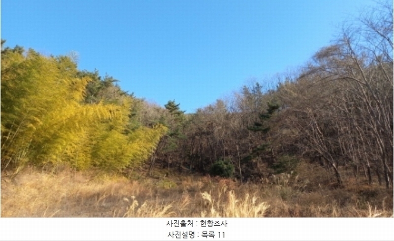 2024타경32565 경상남도 거제시 하청면 석포리 산15-8 임야 경매 이미지