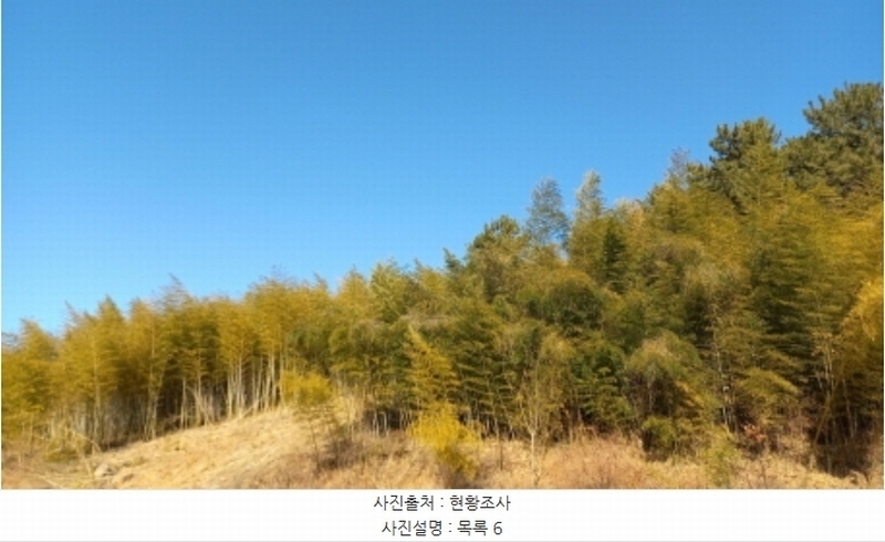 2024타경32565 경상남도 거제시 하청면 석포리 산15-8 임야 경매 이미지
