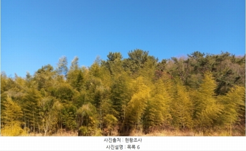 2024타경32565 경상남도 거제시 하청면 석포리 산15-8 임야 경매 이미지