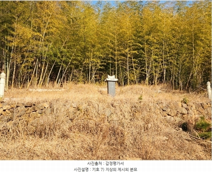 2024타경32565 경상남도 거제시 하청면 석포리 산15-8 임야 경매 이미지