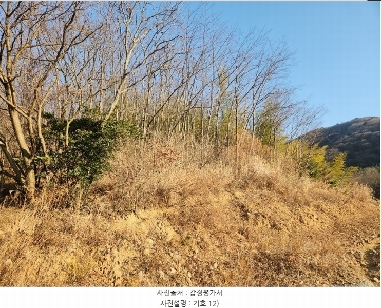 2024타경32565 경상남도 거제시 하청면 석포리 산15-8 임야 경매 이미지