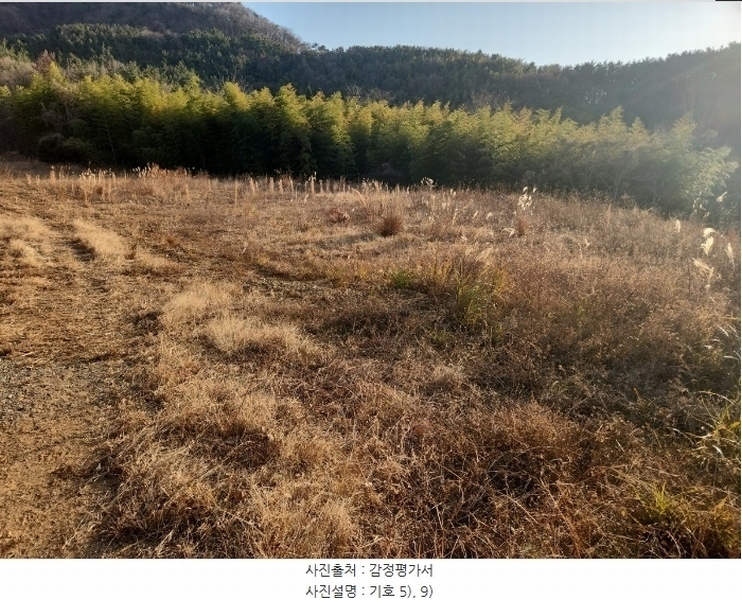 2024타경32565 경상남도 거제시 하청면 석포리 산15-8 임야 경매 이미지