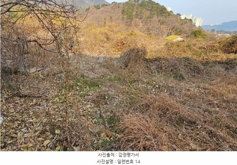 2024타경32633 경상남도 거제시 일운면 소동리 산62-17 농지 경매 이미지