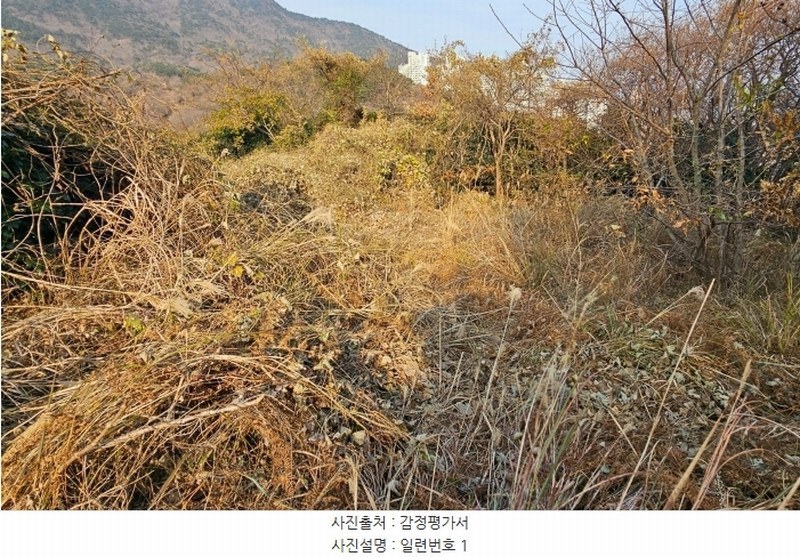 2024타경32633 경상남도 거제시 일운면 소동리 산62-17 농지 경매 이미지