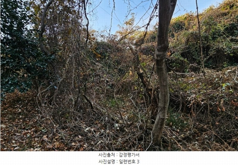 2024타경32633 경상남도 거제시 일운면 소동리 산62-17 농지 경매 이미지