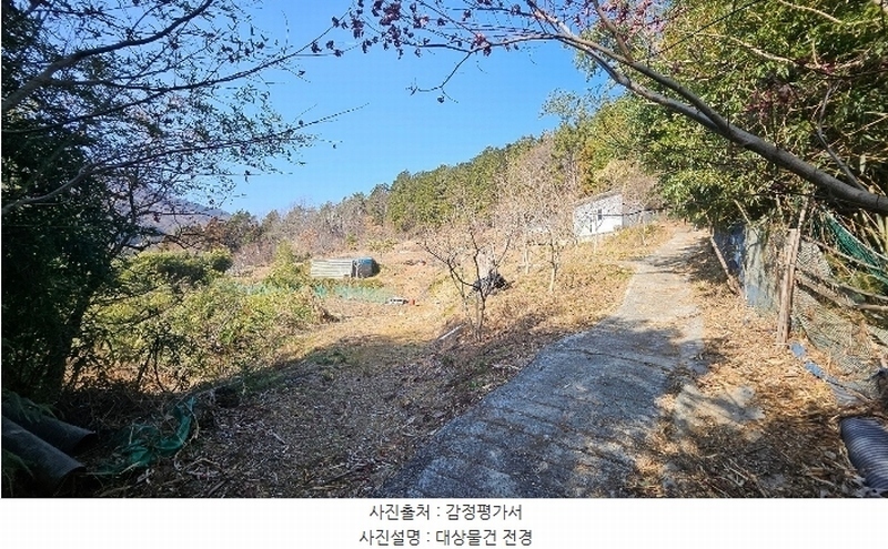 2024타경32817 경상남도 거제시 삼거동 491 농지 경매 이미지