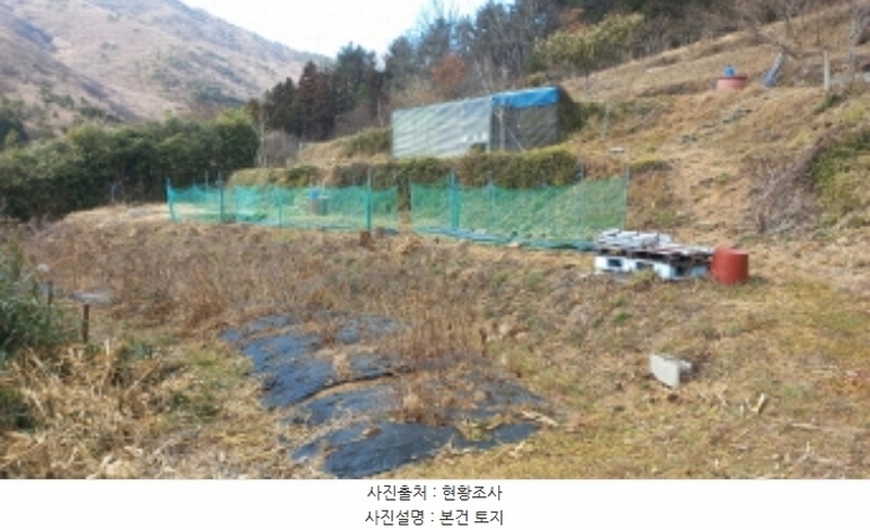 2024타경32817 경상남도 거제시 삼거동 491 농지 경매 이미지