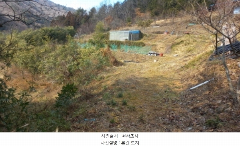 2024타경32817 경상남도 거제시 삼거동 491 농지 경매 이미지