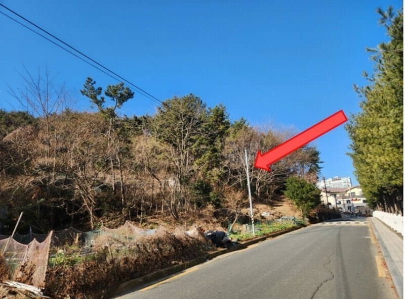 2024타경33162 경상남도 거제시 양정동 산8-2 임야 경매 이미지