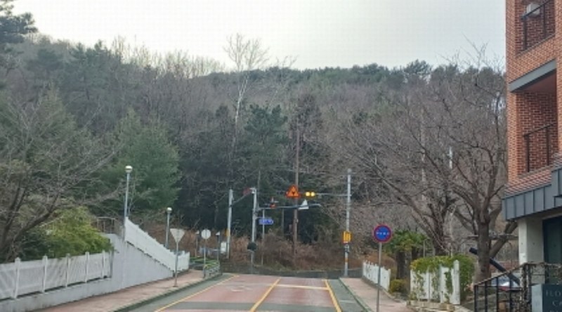 2024타경33162 경상남도 거제시 양정동 산8-2 임야 경매 이미지