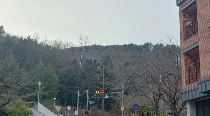 2024타경33162 경상남도 거제시 양정동 산8-2 임야 경매 이미지