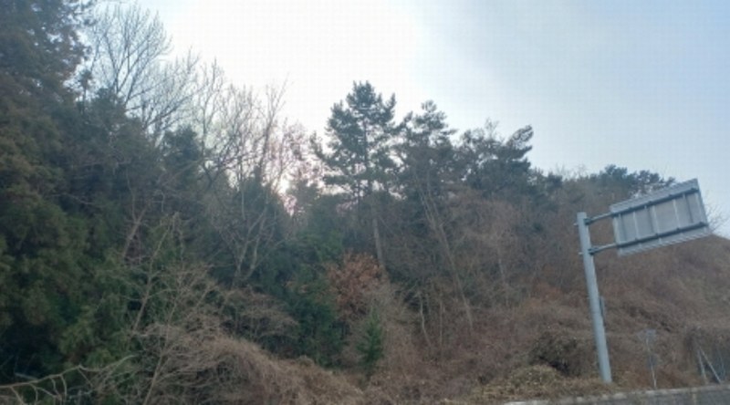 2024타경33162 경상남도 거제시 양정동 산8-2 임야 경매 이미지