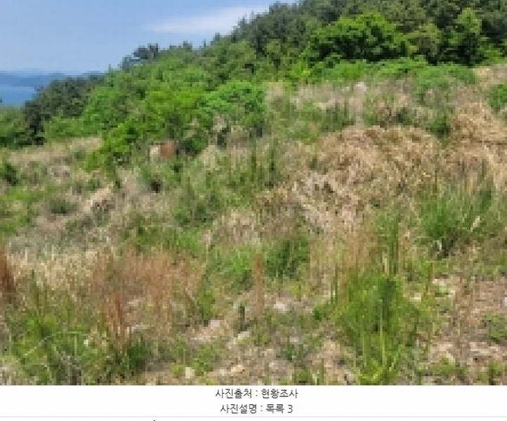 2025타경450 경상남도 거제시 사등면 창호리 1212-2 농지 경매 이미지