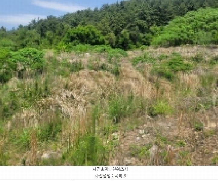 2025타경450 경상남도 거제시 사등면 창호리 1212-2 농지 경매 이미지