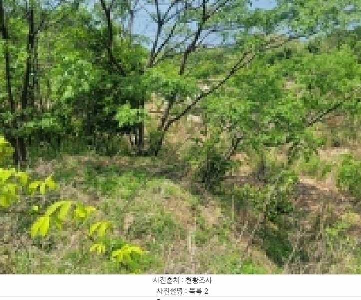2025타경450 경상남도 거제시 사등면 창호리 1212-2 농지 경매 이미지
